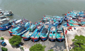 Positive changes in anti-IUU fishing: Absolutely do not cross the boundary